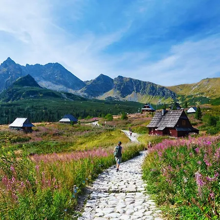 Appartamento - Chomikowka Zakopane